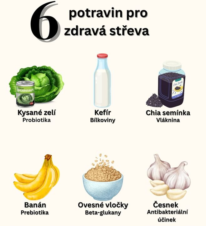 🦠 Zdravá střeva = zdravé tělo! Naše střevní mikrobiota ovlivňuje imunitu, náladu, trávení i hormonální rovnováhu. A právě...